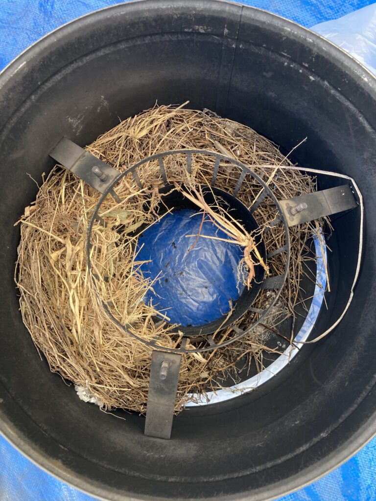 鳥の巣を作った煙突